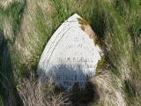 image of grave number 571569